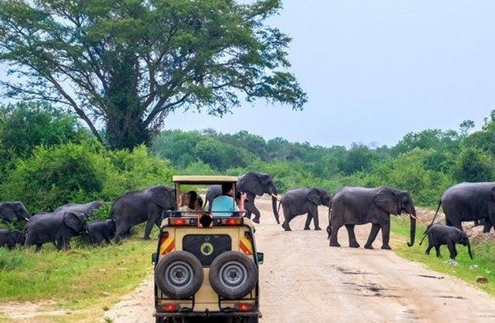 Uganda Tourism